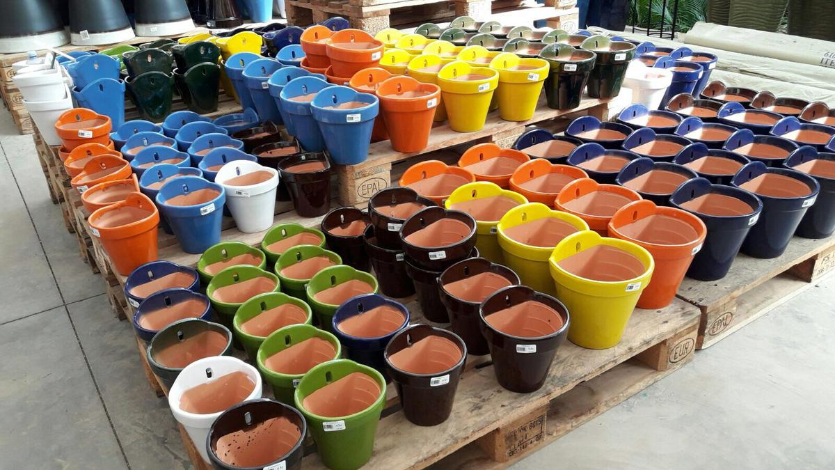 plantas en macetas Garden Center en Las Palmas