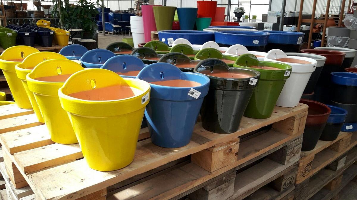 plantas en macetas Garden Center Las Palmas