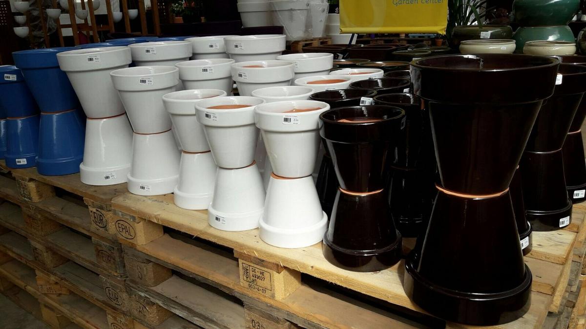 plantas en macetas Viveros en Las Palmas