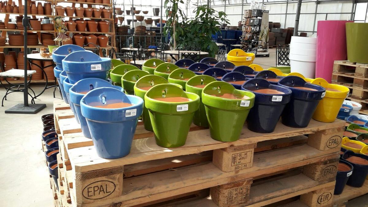 plantas en macetas Viveros Las Palmas