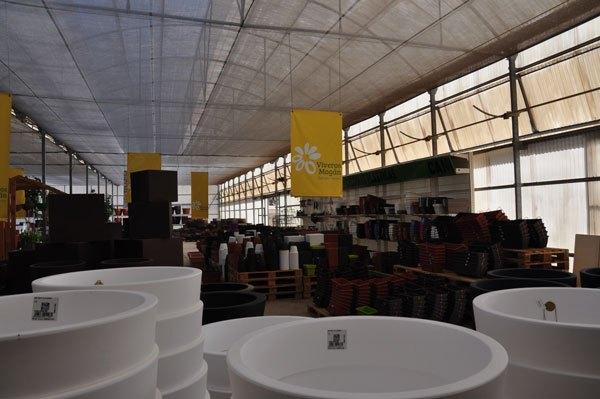 plantas-para-terrazas-en-Las-Palmas-de-Gran-Canaria