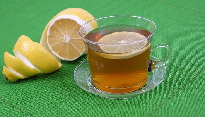 remedios para pulgas