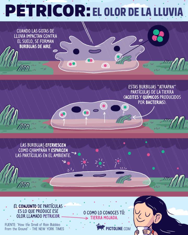 Sindrome Tumblr 11 de julio 010