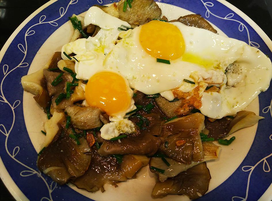 Setas Portal Jardín