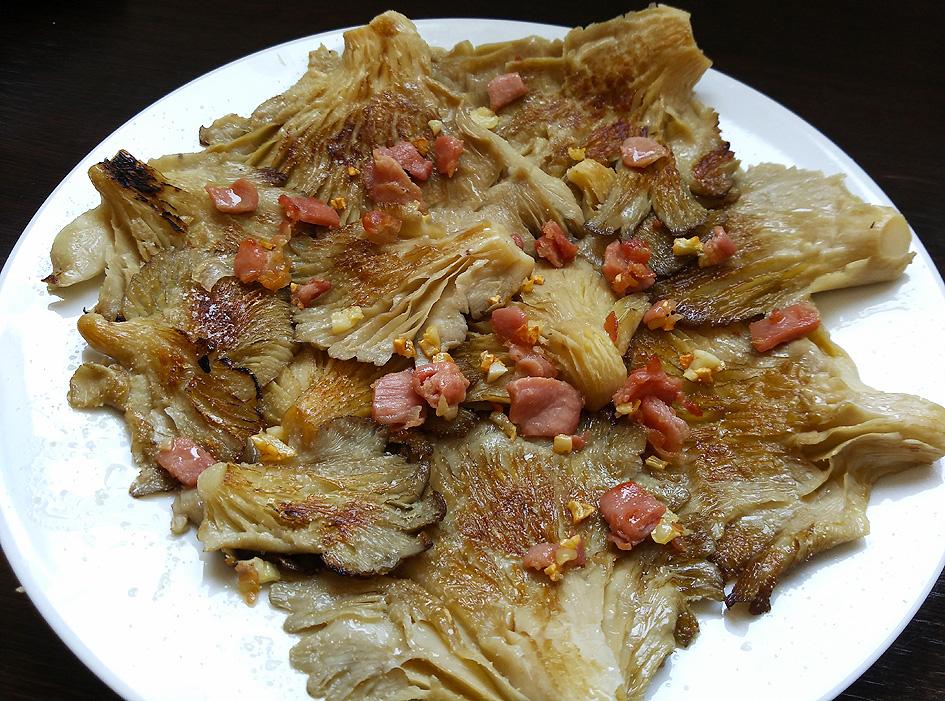 Setas Portal Jardín