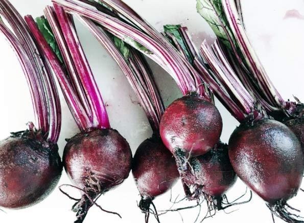 Raíz de remolachas