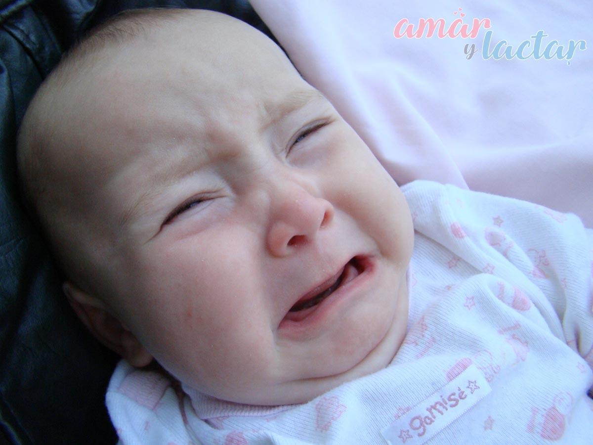 bebe llorando amarylactar
