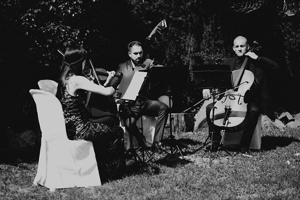 editorial boda bella y bestia