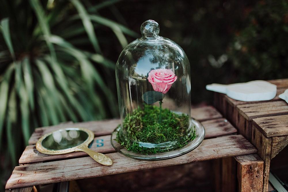 editorial boda bella y bestia