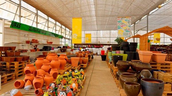 Como regar las plantas en macetas y jardineras