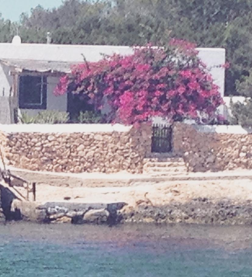 FullSizeRender (14).jpg