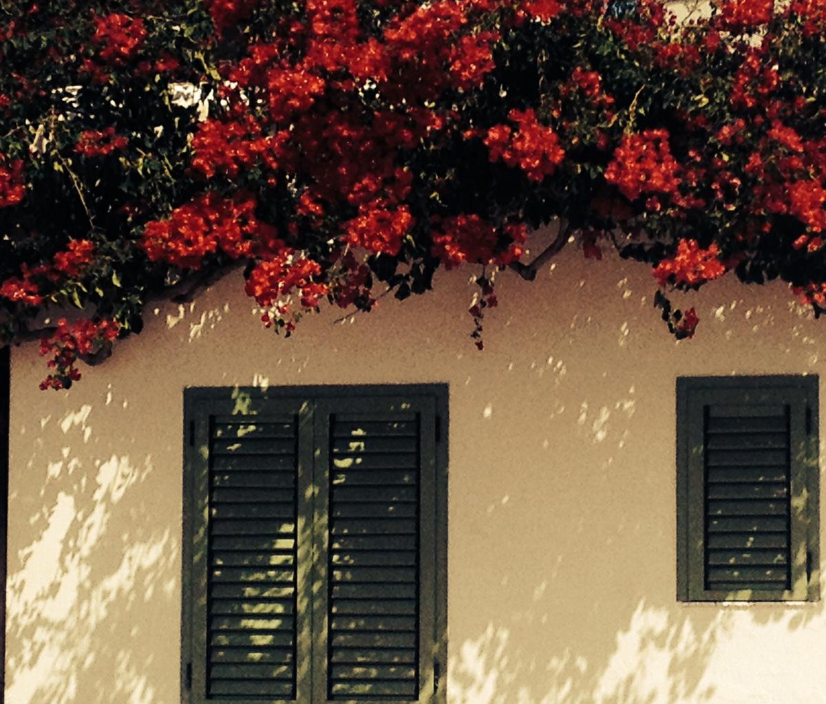 FullSizeRender (16).jpg