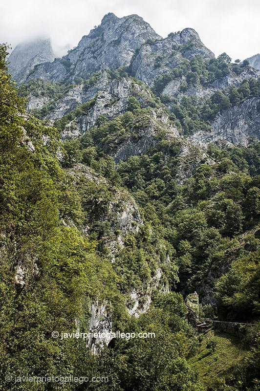 Desfiladero de los Beyos. Oseja de Sajambre. Parque Regional de Picos de Europa. León. Castilla y León. España. © Javier Prieto Gallego