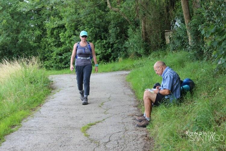 carretera y vegetación en el camino de santiago