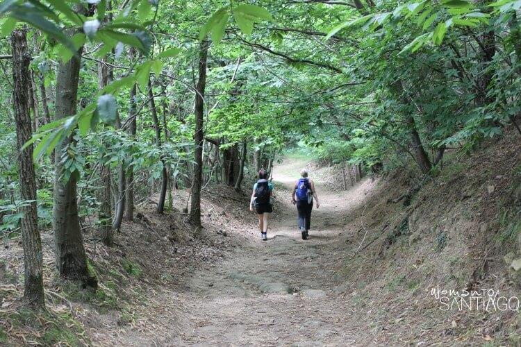 sendero despejado de color verde