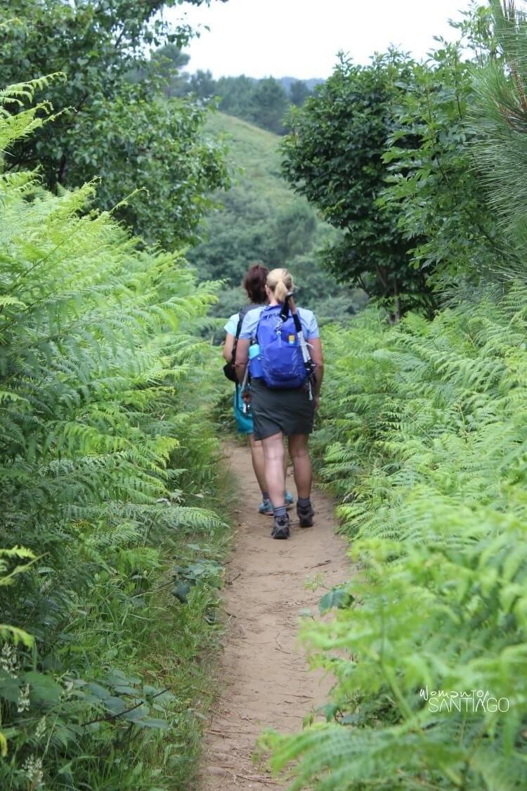 heidi y noelia por un sendero verde rodeados de naturaleza