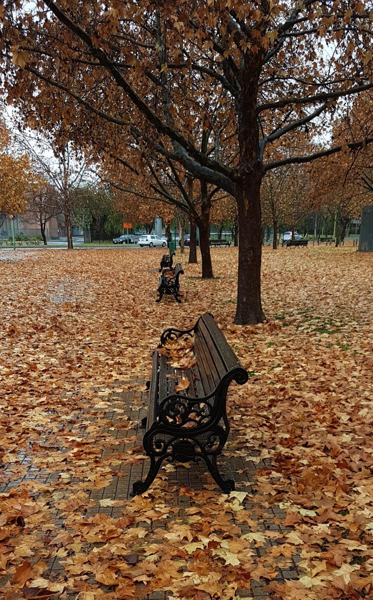 bancos-otoño-lluvia