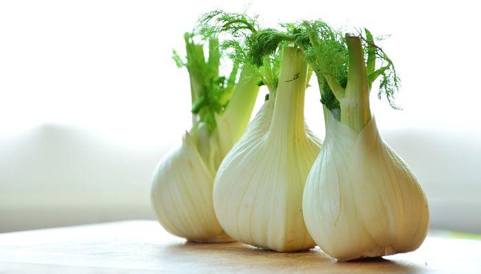 propiedades del hinojo