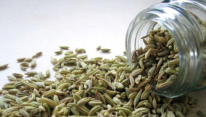 semillas de hinojo