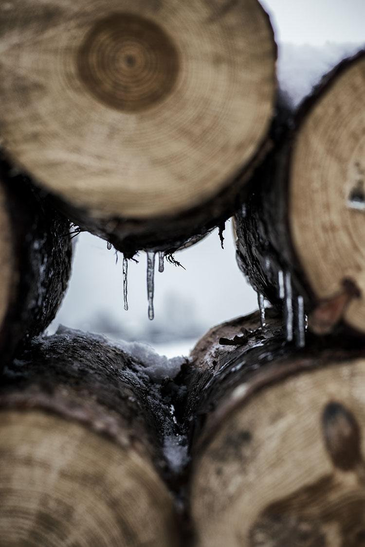 Vacaciones-de-invierno-troncos-nevados-by-Maria-Algara-Photography
