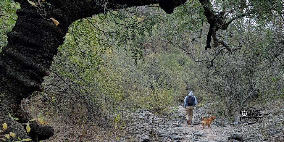 Trekking en Catamarca 