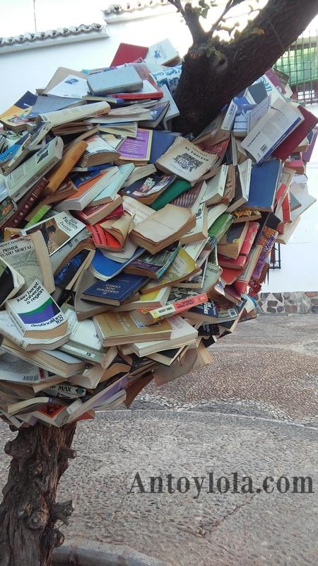 un paseo por almagro 16