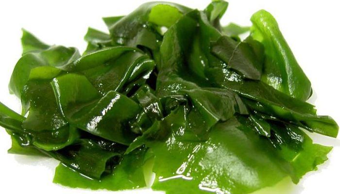 algas para la celulitis