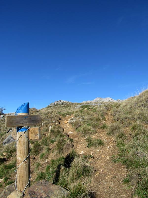 Allá a lo lejos asoma nuestro objetivo