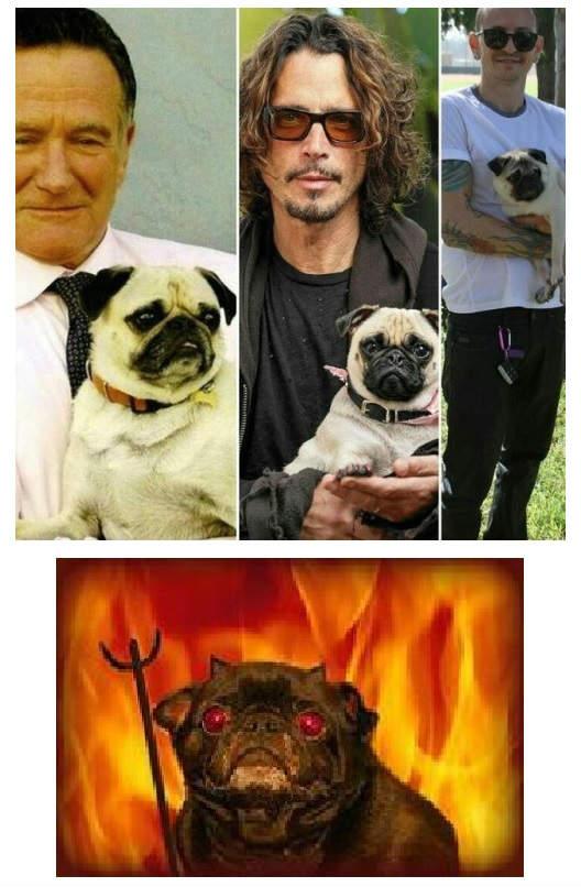 Sindrome Tumblr 24 de julio 01