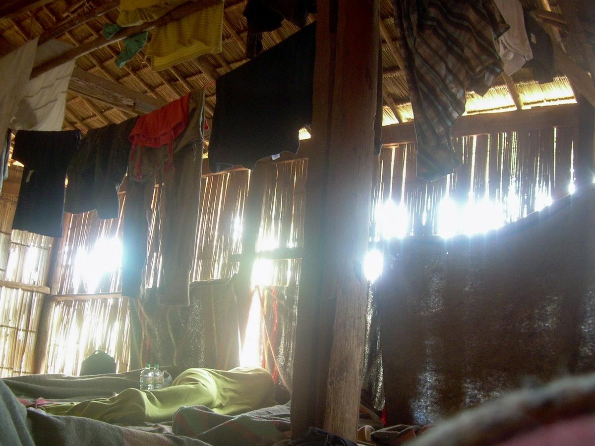 Trekking de tres días en la selva (Tailandia)