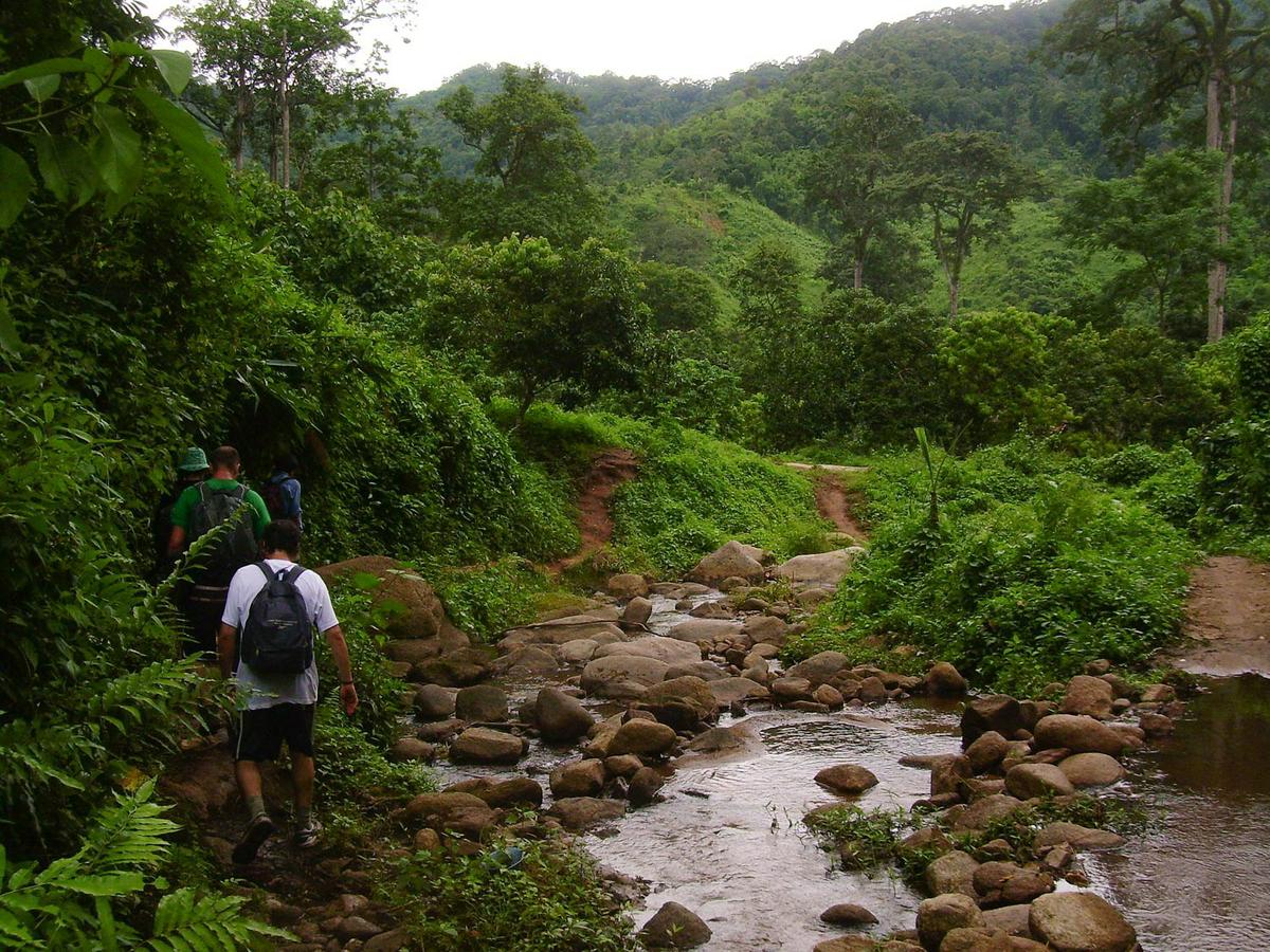 Trekking de tres días en la selva (Tailandia)