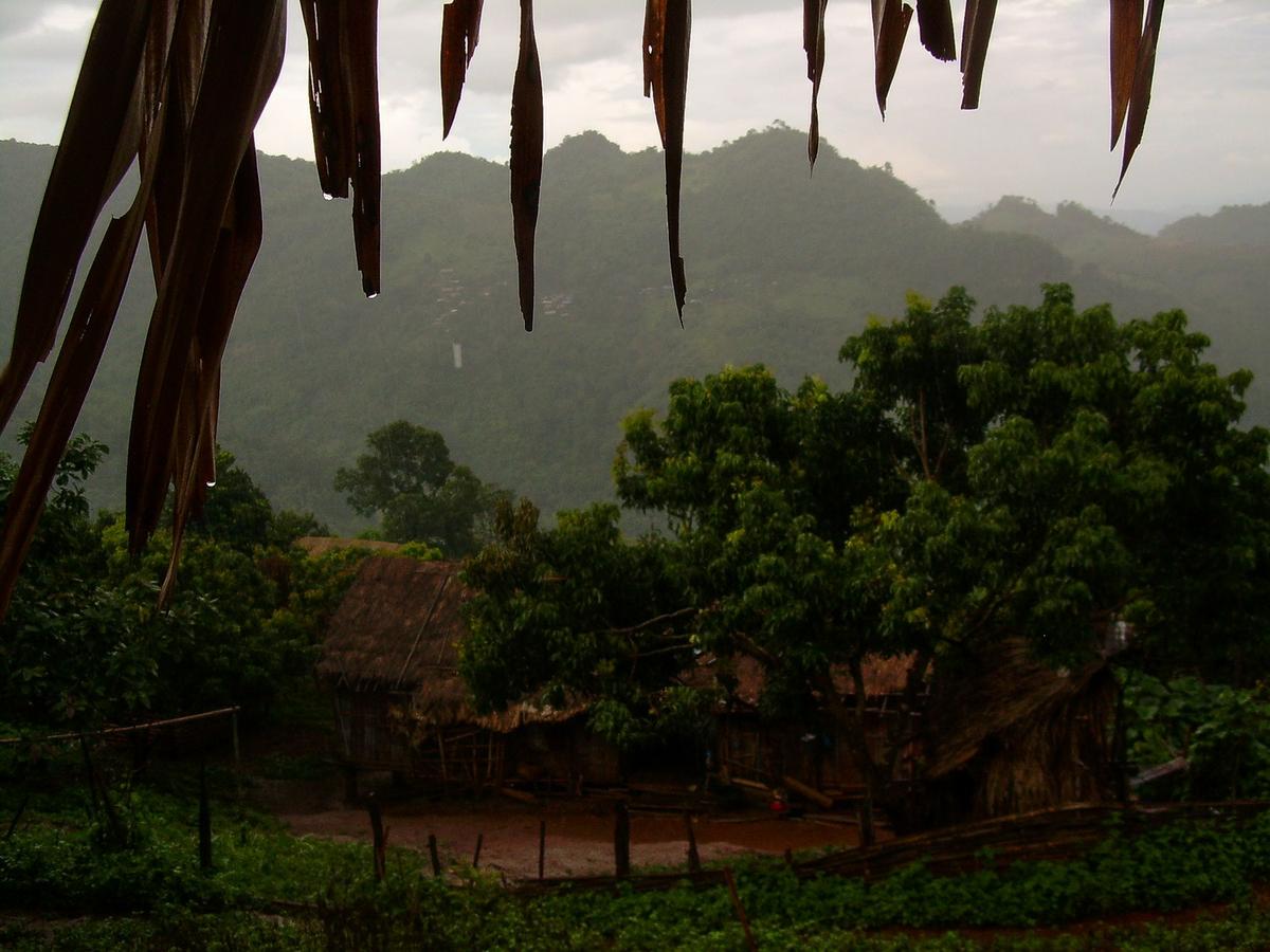 Trekking de tres días en la selva (Tailandia)