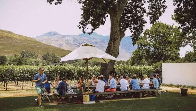 trenes de vino, sudafrica