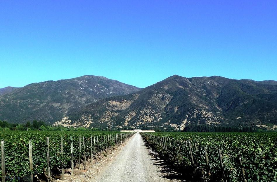valle de colchagua, trenes de vino