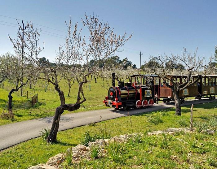 trenes de vino, express mallorca