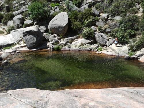 pedriza