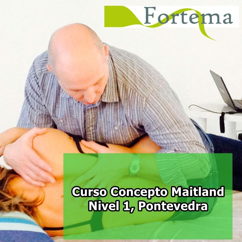 Curso del Concepto Maitland