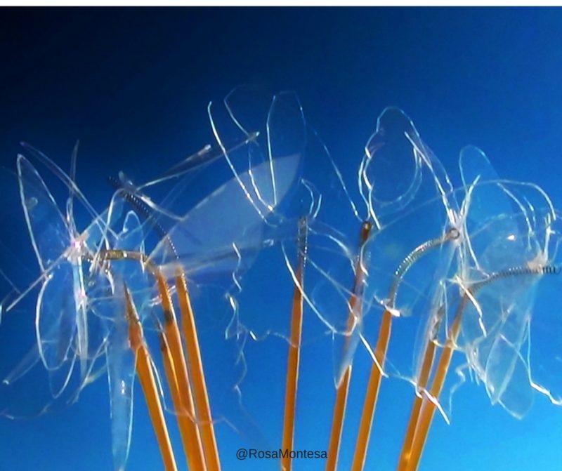 Mariposas pintadas a mano con botellas de plástico