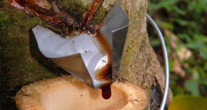 como curar los hongos en la boca