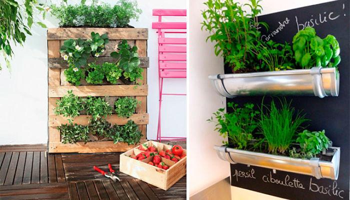 plantas para decorar cocina pequeña