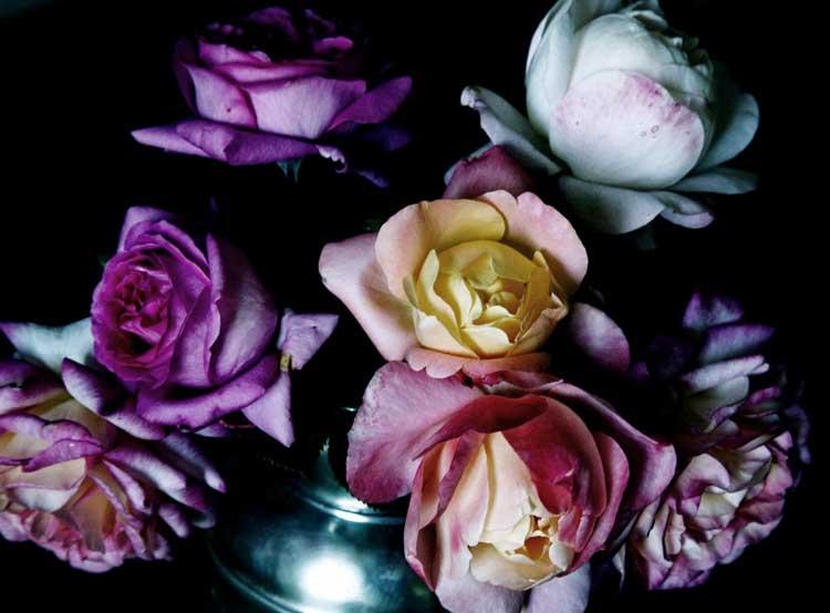 Home-life-style-magazine-gazpacho-rosas