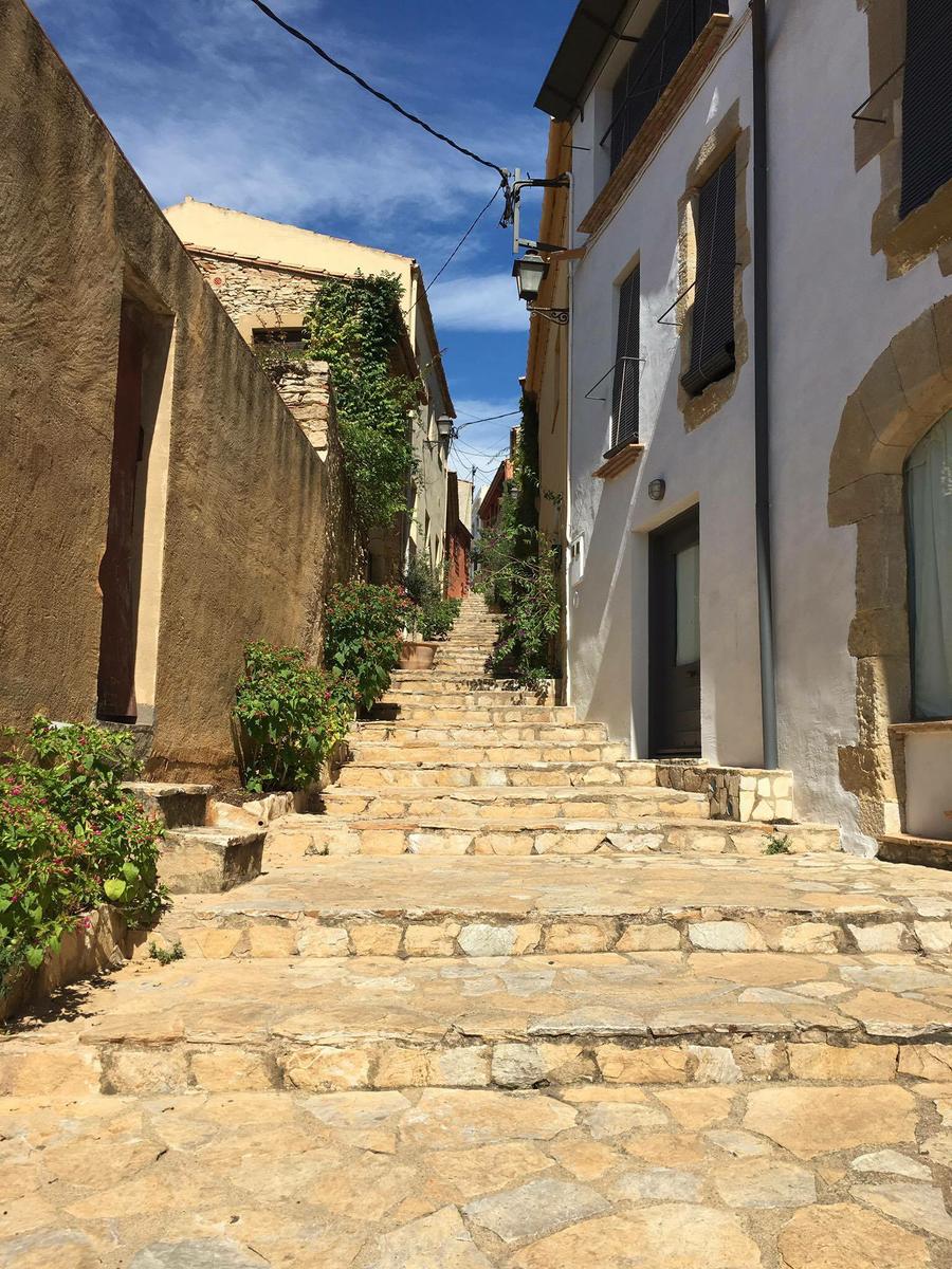 14360257_10211052651493739_162355018_o