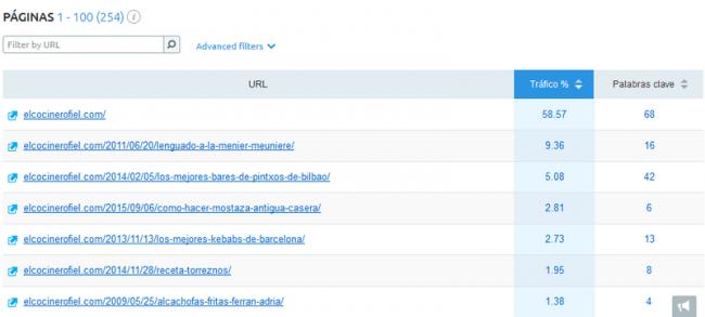 analisis paginas elcocinerofiel