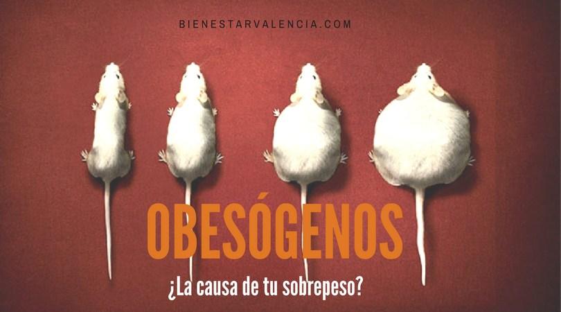obesógenos sobrepeso