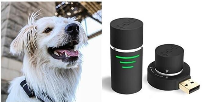 rastreador de mascotas 