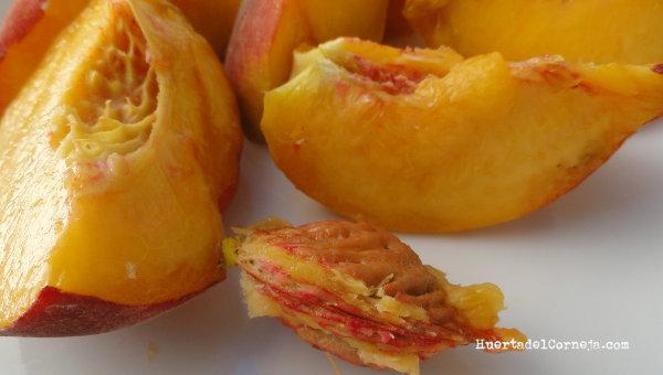 fresquilla con hueso