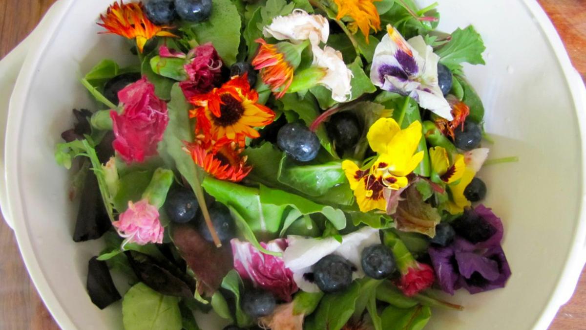 flores comestibles