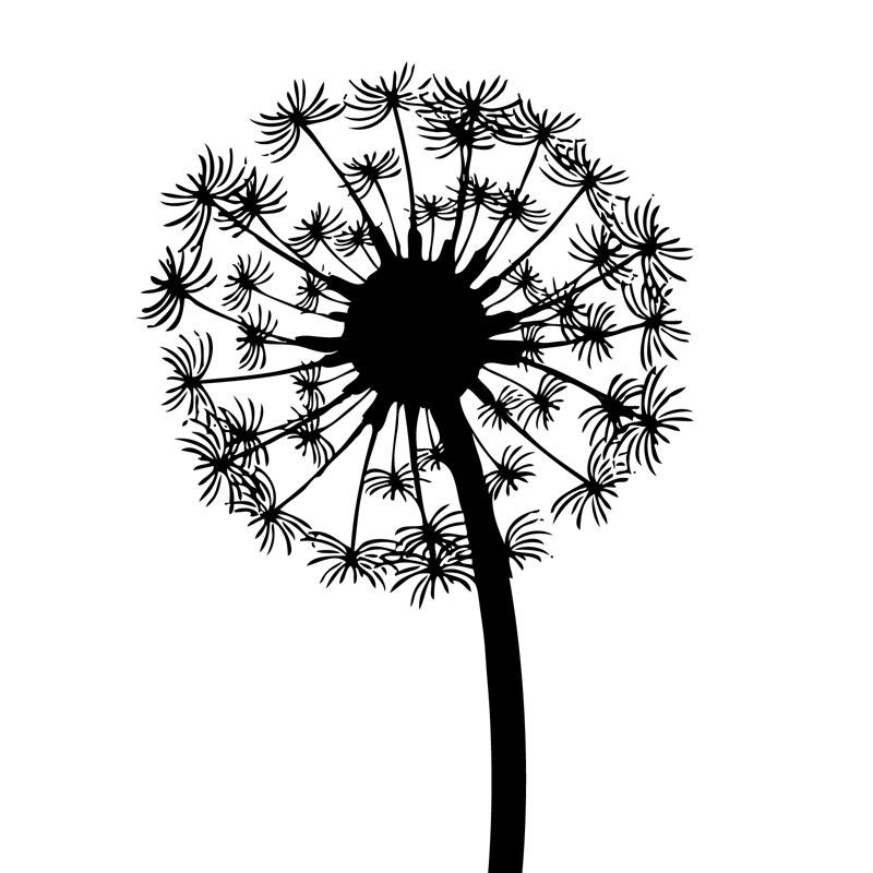 cómo dibujar un diente de león paso a paso