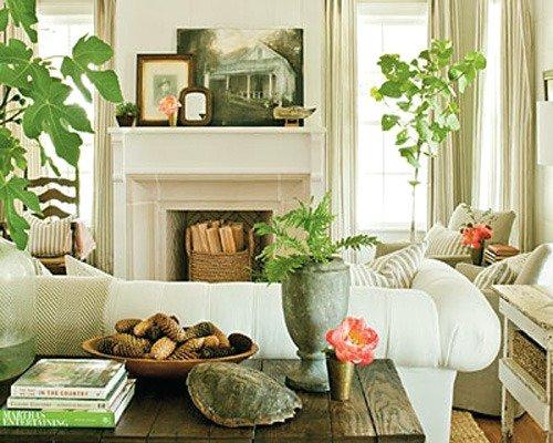 beneficios de tener plantas en la casa