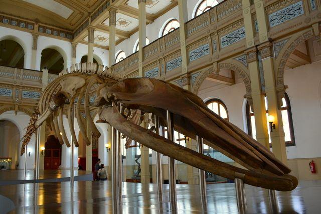 Interior del museo Histórico Nacional de Santiago de Chile